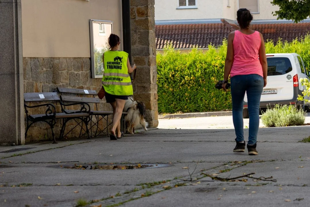 Hundetraining Alltagssituation