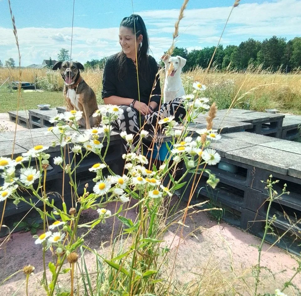 Hundetrainerin Martina Grasser Kontakt
