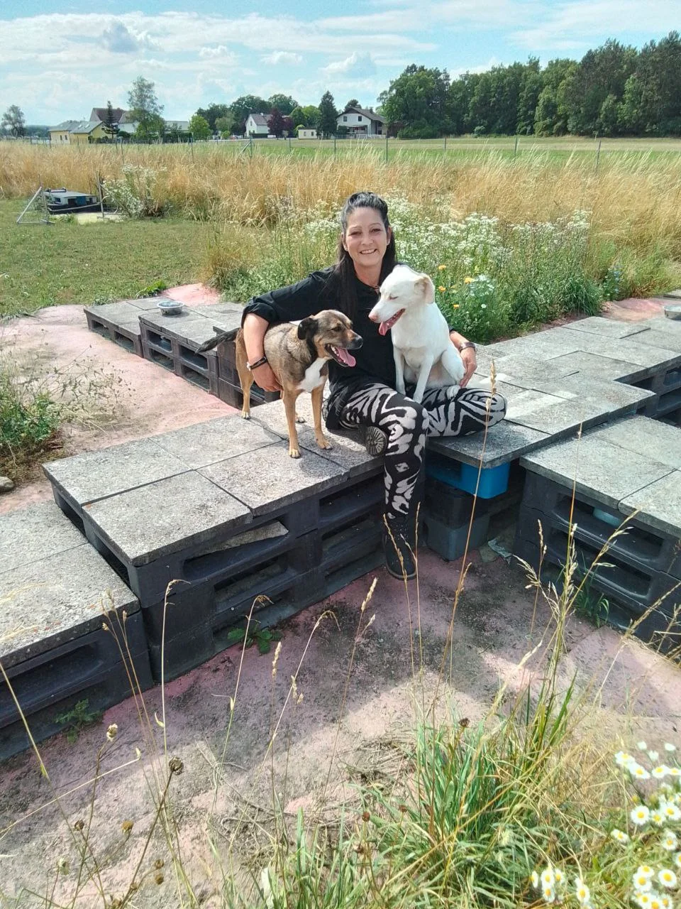 Dipl. Hundepsychologin Martina Grasser