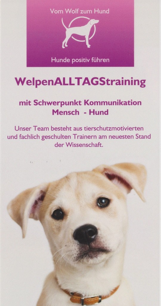 Welpenschule Welpengruppe Welpentraining 3300