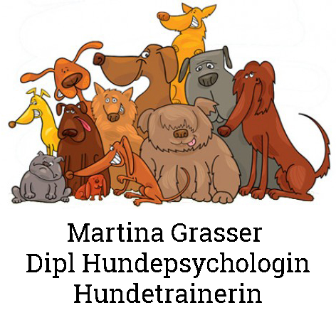 Hundetraining - Hundepsychologische Beratung  in Amstetten
